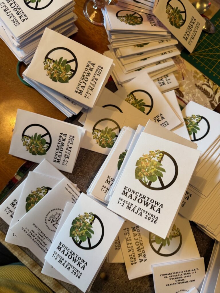 Zdjęcie przedstawiające kolorowe ziny ułożone na stole.