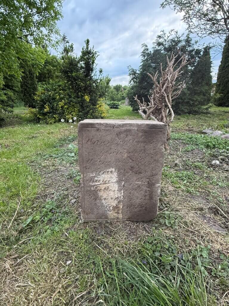 Kamienna płyta nagrobna stojąca na trawie wśród drzew i krzewów.